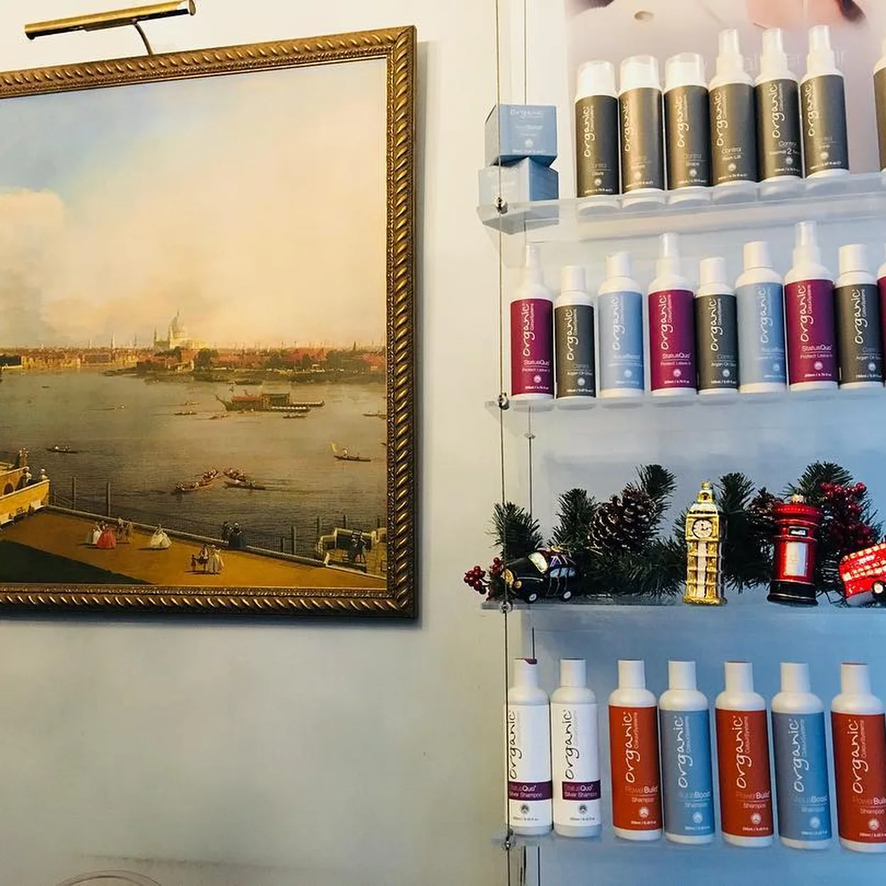 Alterity Studio shelves of organic hair care products beside a framed painting