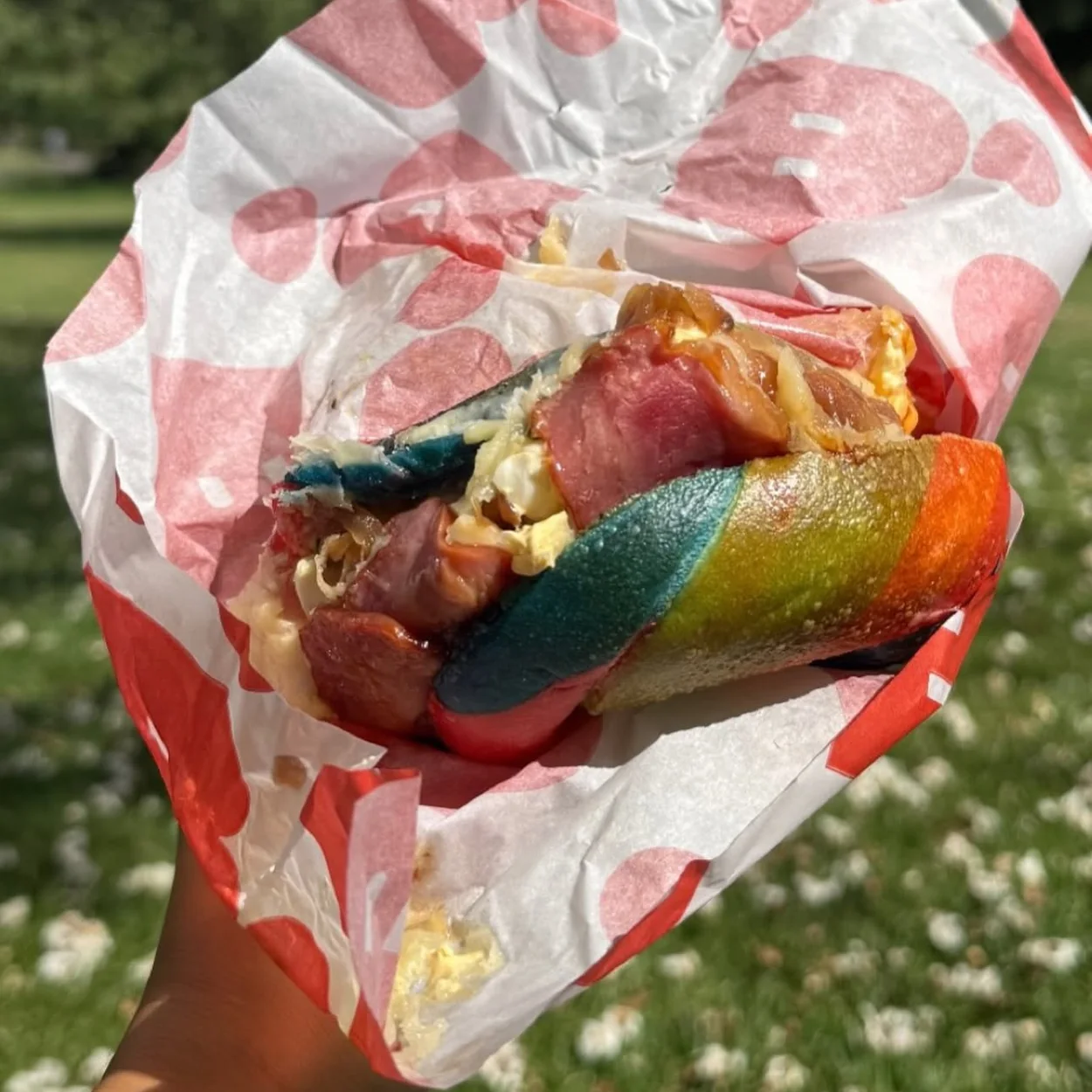 B Bagel salt beef rainbow bagel in branded paper