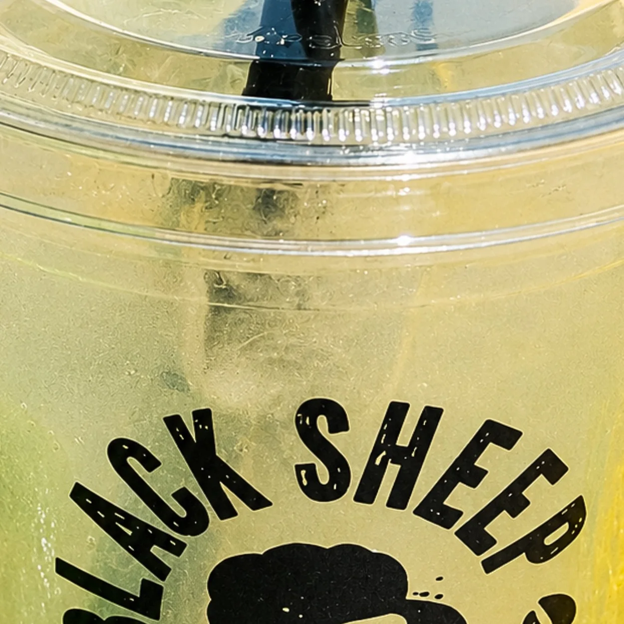 Black Sheep Coffee iced drink in a branded cup