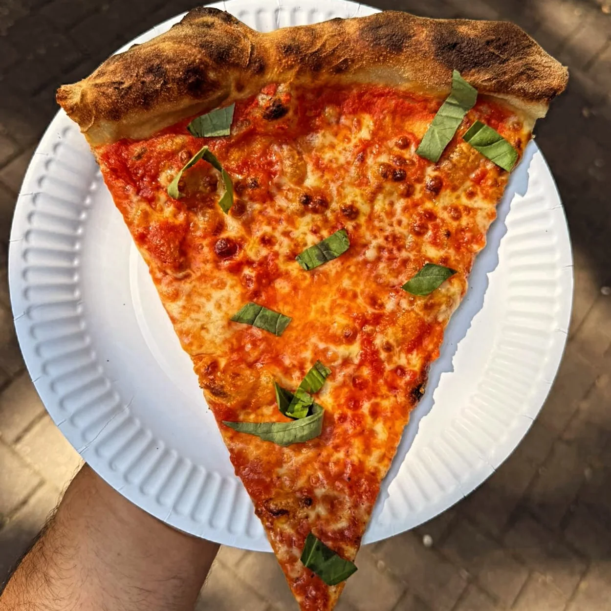 Carmy's New York-style cheese slice with basil