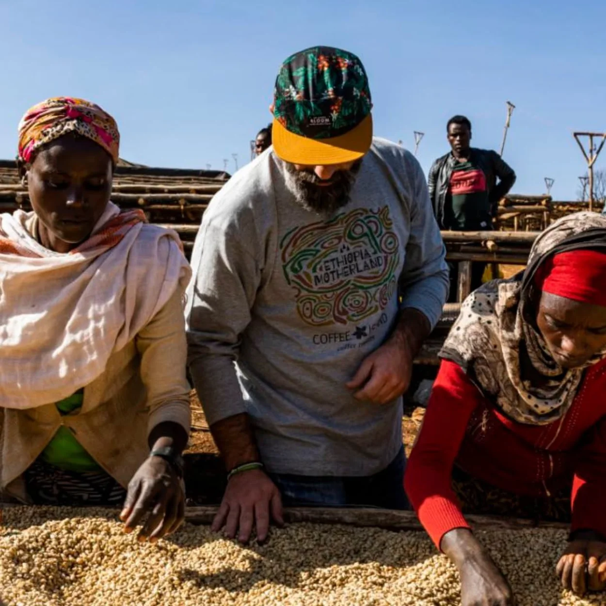 Coffee Island producers sorting coffee beans at origin
