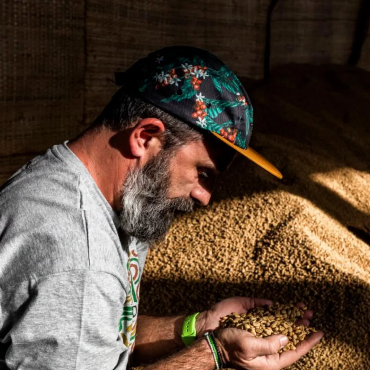 Coffee Island buyer inspecting green coffee beans at origin