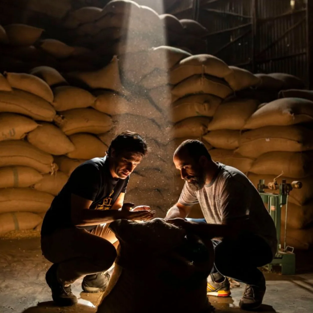 Coffee Island team checking sacks of green coffee in a warehouse