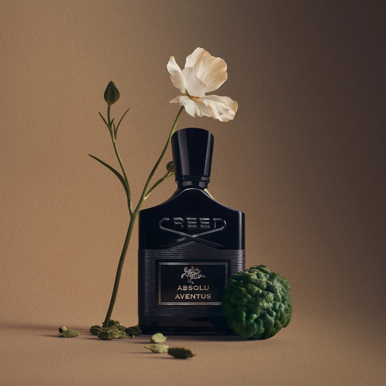 Creed Absolu Aventus black bottle with a white flower