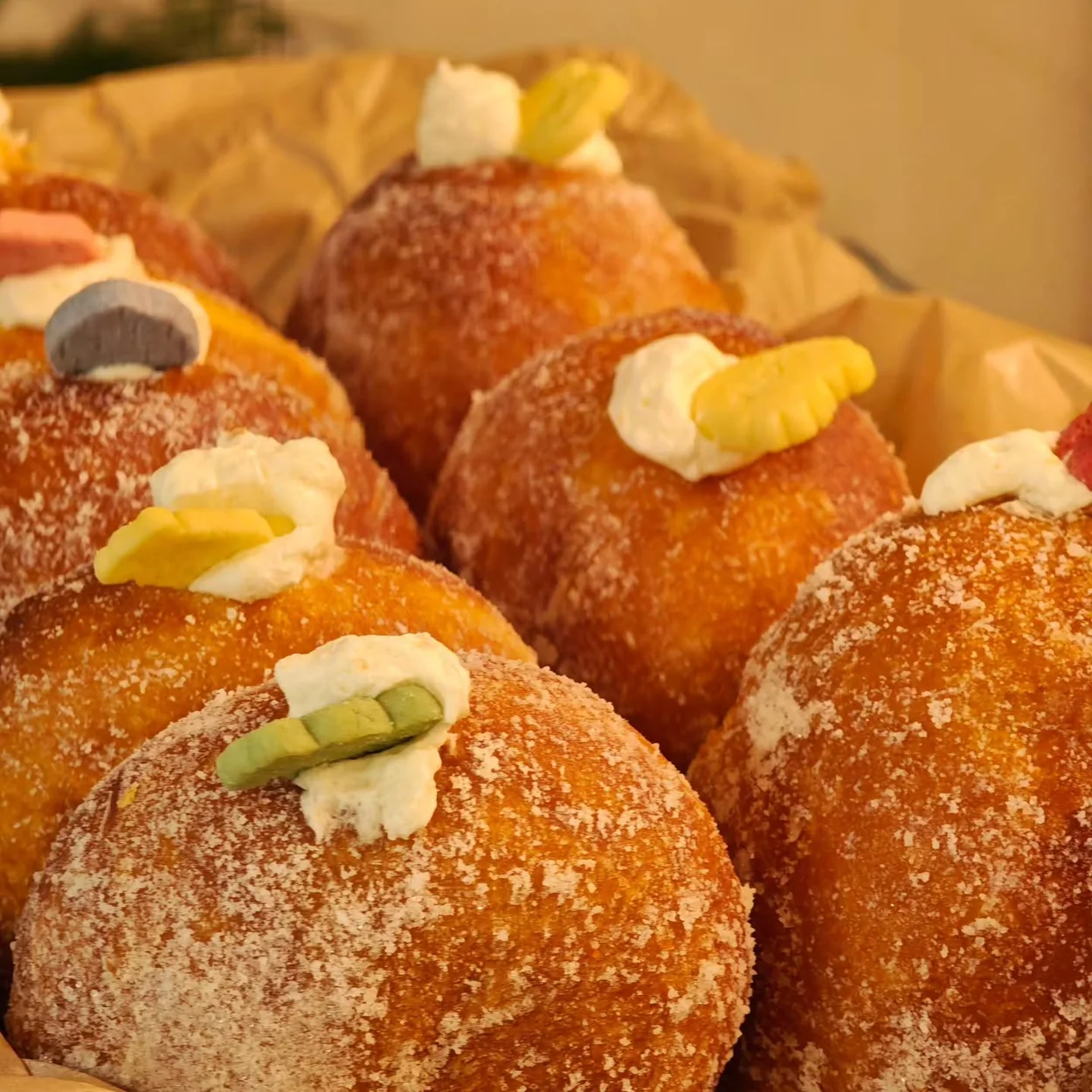Day Day Drink sugared filled doughnuts on baking paper