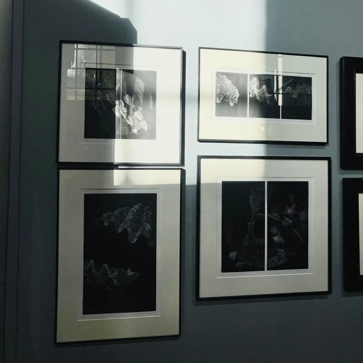 Emanuel von Baeyer wall of small framed black and white prints