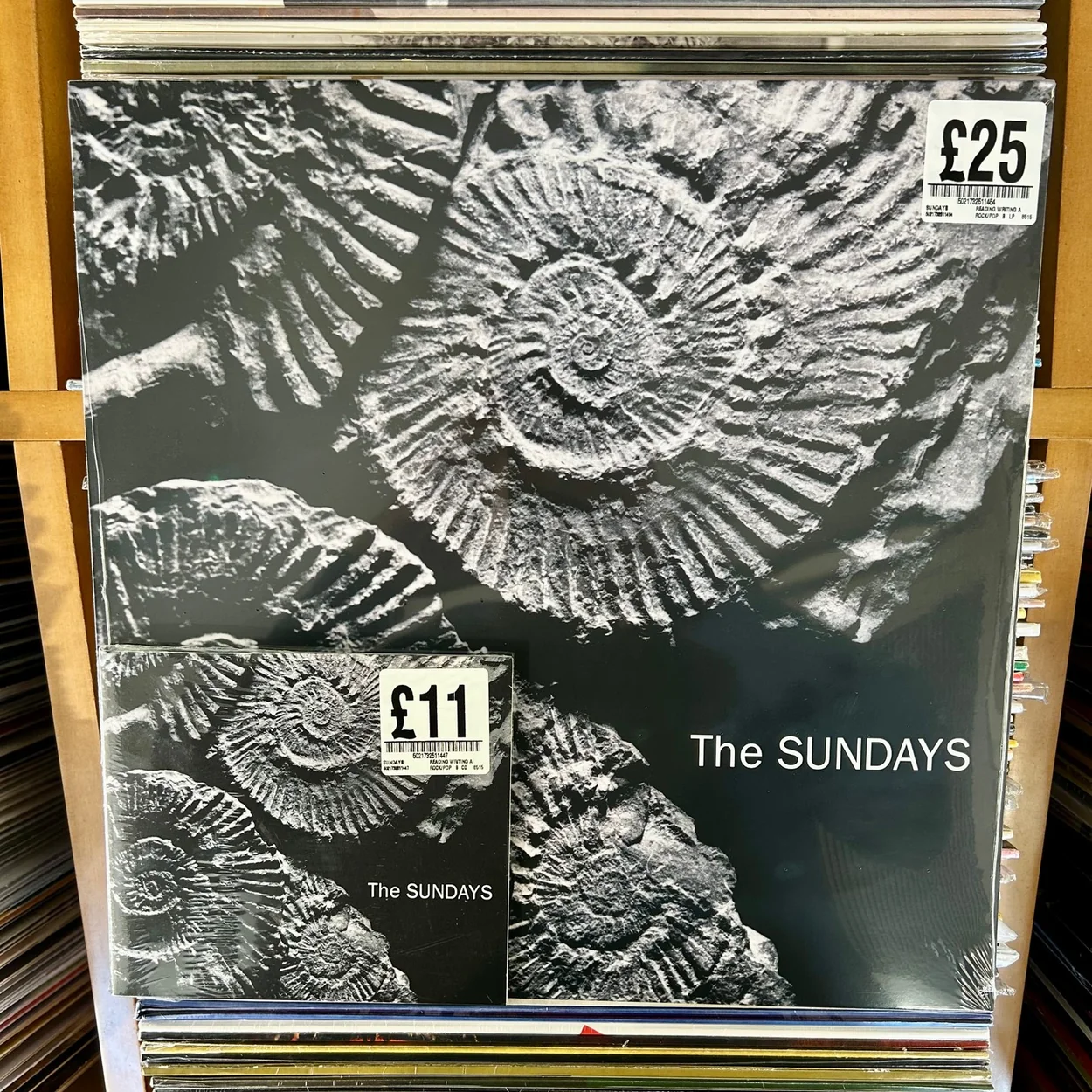 Fopp