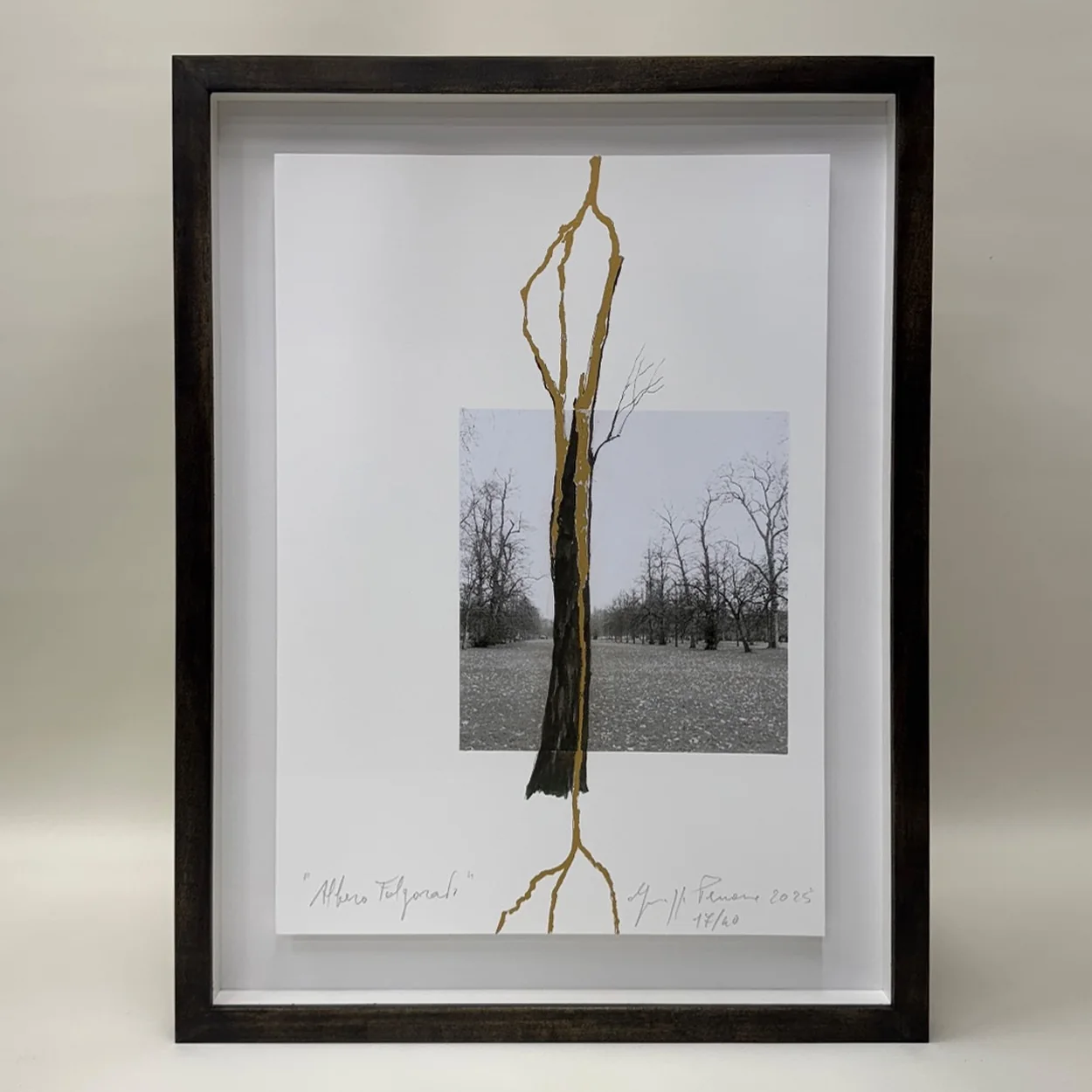 Frame Set & Match black box frame with a float-mounted photograph