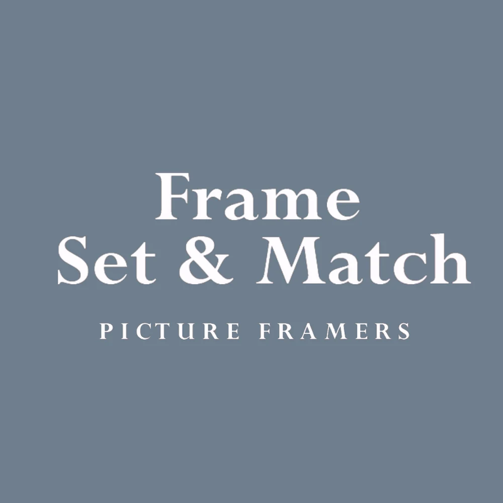 Frame Set & Match logo