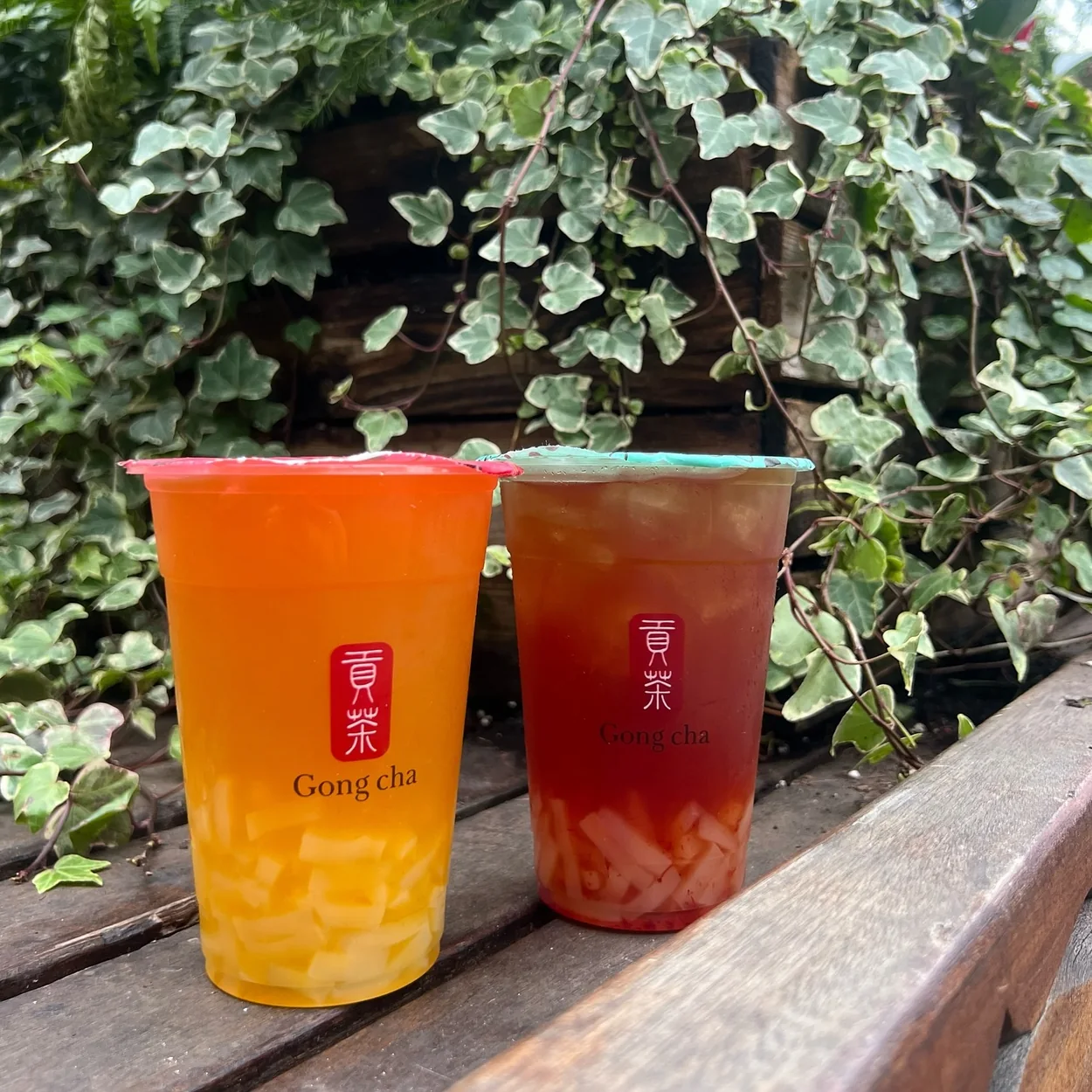 Gong Cha passionfruit and mango fruit teas against a wall of ivy