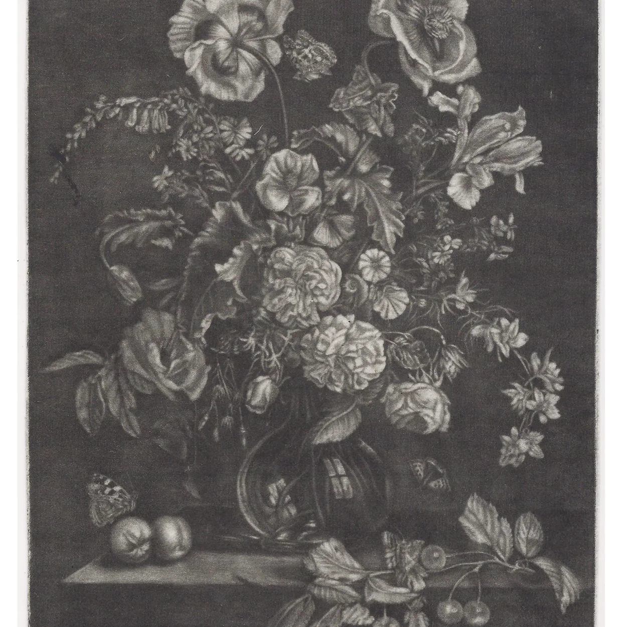 Grosvenor Prints antique mezzotint of a flower still life