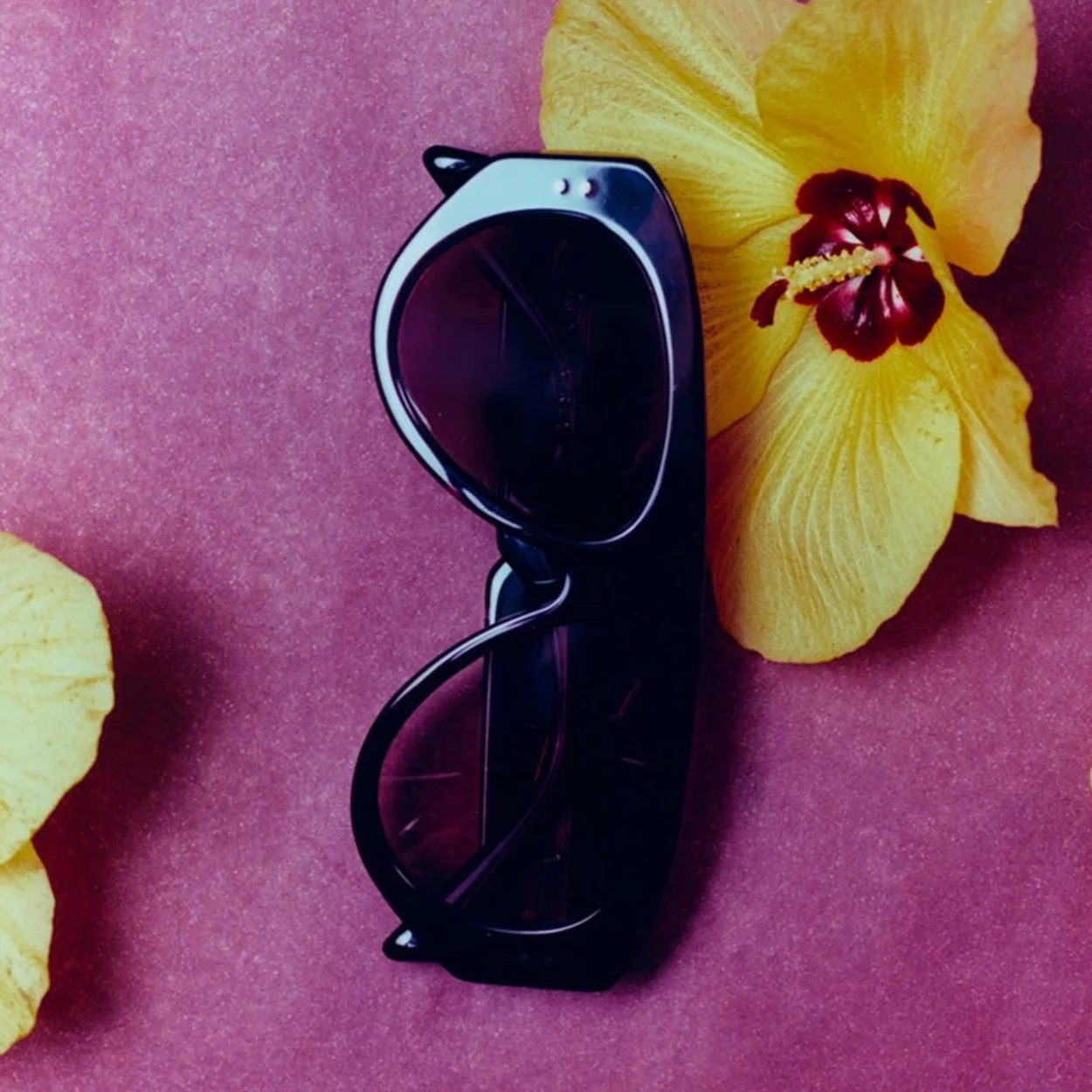 Jimmy Fairly black cat-eye sunglasses with orchids