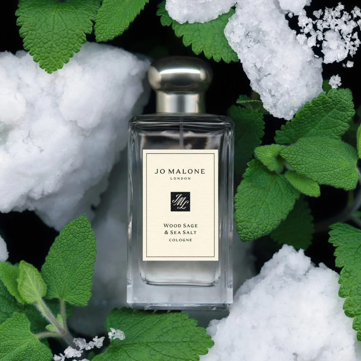 Jo Malone London Wood Sage and Sea Salt cologne with sea salt and herbs