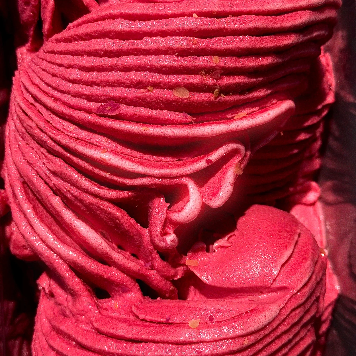 La Gelatiera hibiscus sorbet in the display tray