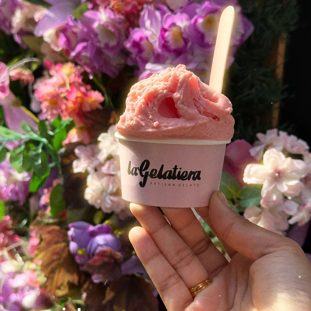 La Gelatiera watermelon sorbet cup held in front of flowers on New Row