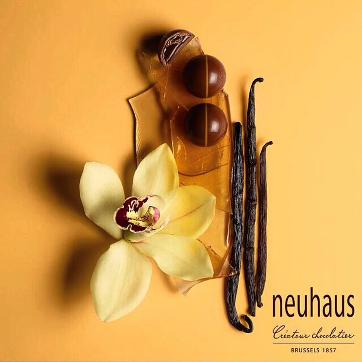Neuhaus pralines with vanilla pods and an orchid
