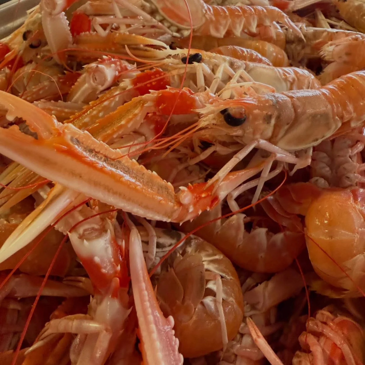 The Oystermen fresh langoustines from the British Isles