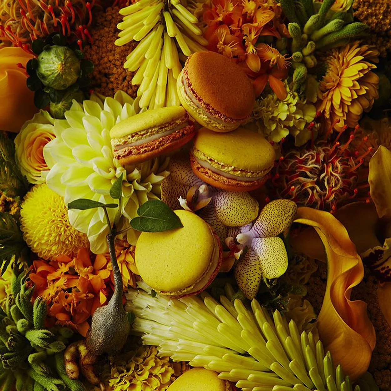 Pierre Hermé macarons arranged among yellow flowers
