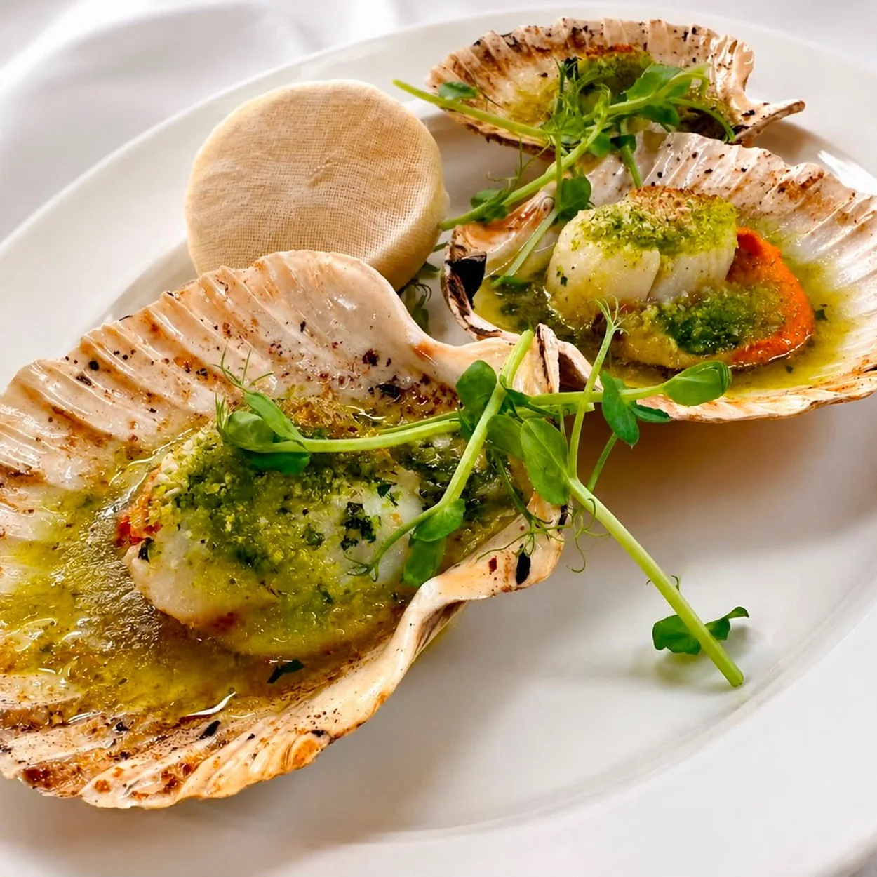 Rules grilled scallops in the shell with herb butter